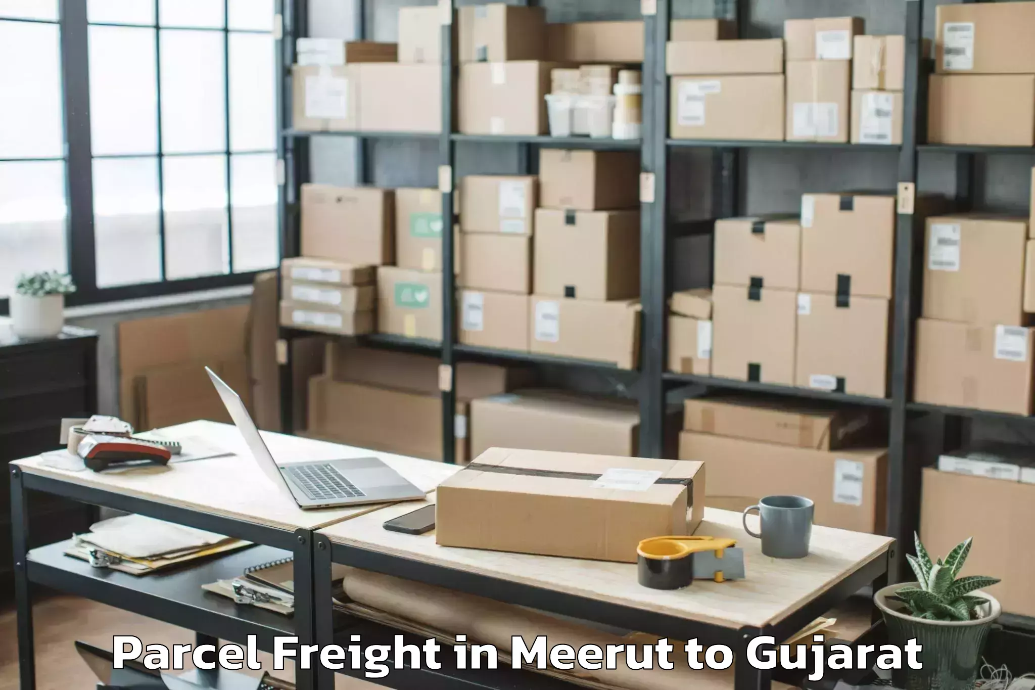 Reliable Meerut to Sardar Patel University Vallab Parcel Freight